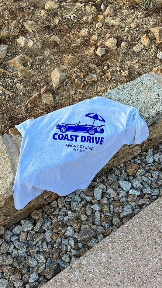 T-shirt "coast drive" gris