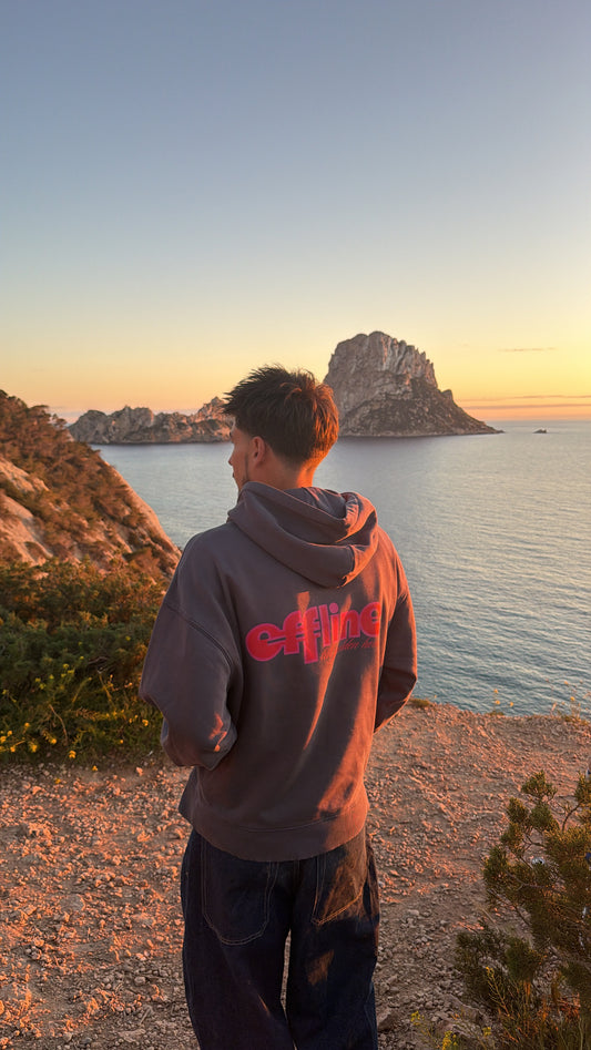 Sweat "offline" gris délavé